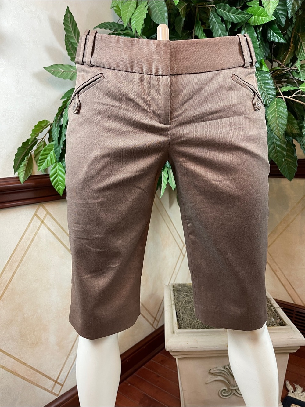 THE LIMITED LIGHT BROWN 14” INSEAM SHORTS - Picture 3 of 11